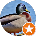 Nhựt phương N. profile picture