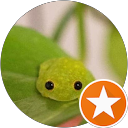 Lenna profile picture