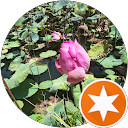 Lison D profile picture