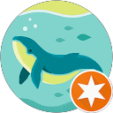 Haim K. profile picture