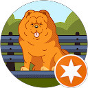 Quy N. profile picture