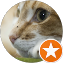 Huyen Trang C. profile picture