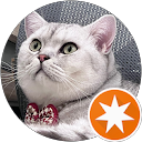 Ngân T. profile picture