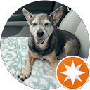 Brandy H. profile picture