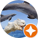 Ryan T profile picture