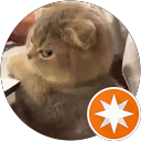 Giang L. profile picture