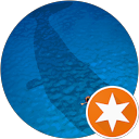 veipune S. profile picture