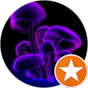 Michele P. profile picture