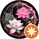 Timmy H. profile picture