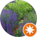 vanna Q. profile picture