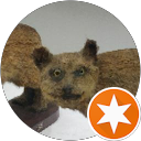 vivek profile picture