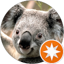 ivan K. profile picture