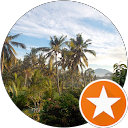 Hatch Y. profile picture