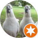 philip H. profile picture