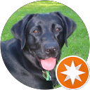 Paul T. profile picture