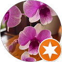 Jeanette F. profile picture