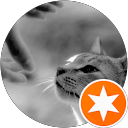 Linh T. profile picture