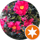 Nuong profile picture