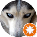 Wolf R. profile picture