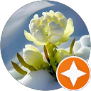 Chính N. profile picture