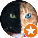 HM Hann 'Viktor' J. P. profile picture