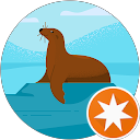 Siah Rui H. profile picture