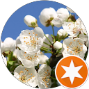 Trang Pham M. profile picture