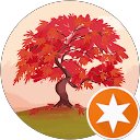 hieu T. profile picture