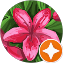 Thuy P. profile picture