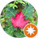 David E. profile picture