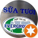 Baxuyenmilk Sữa Bò T. profile picture