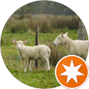 PK “PK” L. profile picture