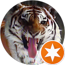 Jolanta J. profile picture