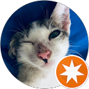 Pau T. profile picture