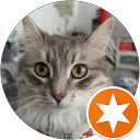 Cindy QTrinh N. profile picture