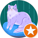 Lia ! profile picture