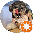 Tao Đ. profile picture