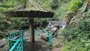 Silver Waterfall Sapa: Majestic Cascade & Scenic Mountain Views