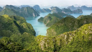 Cat Ba National Park: UNESCO Biosphere, Trekking & Wildlife in Hai Phong