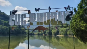 Cuc Phuong National Park: Vietnam's Oldest Tropical Rainforest & Wildlife Rescue