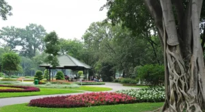 Gia Dinh Park: HCMC's Largest Green Space & Family Hub