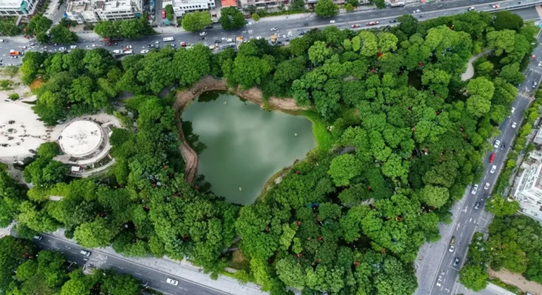 Hoang Van Thu Park HCMC: Green Oasis Near Tan Son Nhat Airport