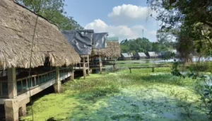 Tram Tra Loc Ecotourism: Quang Tri's Tranquil Lotus Lake Oasis
