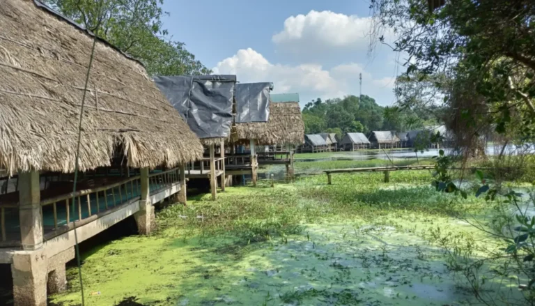 Tram Tra Loc Ecotourism: Quang Tri's Tranquil Lotus Lake Oasis