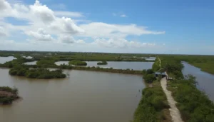 Xuan Thuy National Park: UNESCO Biosphere Reserve & Bird Sanctuary