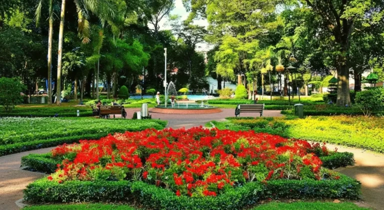 Tao Dan Park HCMC: Central Green Lung & Local Life Hub
