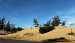 Quang Phu Sand Dunes: Dong Hoi Sand Sliding & Coastal Views