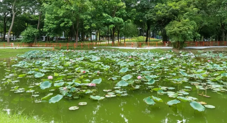 September 23rd Park: Ho Chi Minh City Green Space & Market Hub