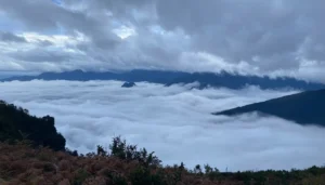 Lao Than Peak: Y Tý's Premier Cloud Hunting Trekking Destination