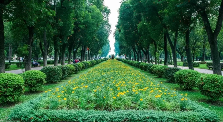 Thong Nhat Park Hanoi: Bay Mau Lake, Reunification History & Activities